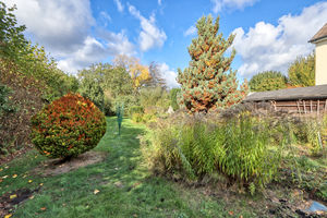 Photo 14- click for photo gallery